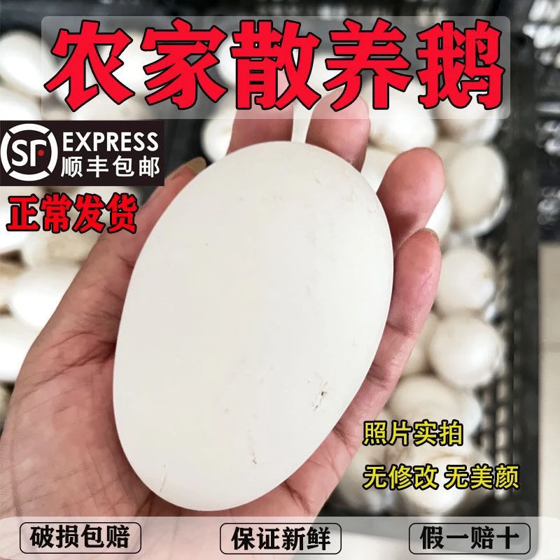 【顺丰京东】农家散养正宗新鲜营养鹅蛋孕妇宝宝放心吃小鹅蛋