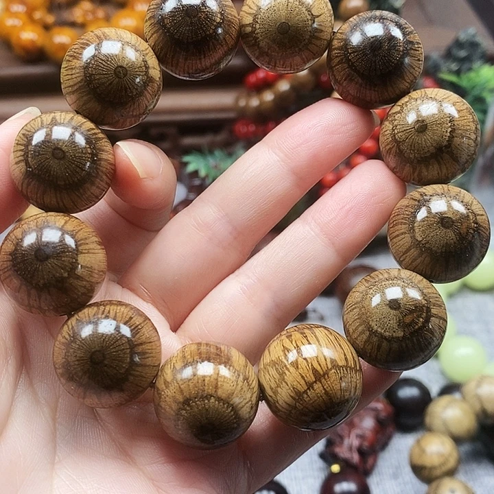 高***你其他藤类买麻藤2.0