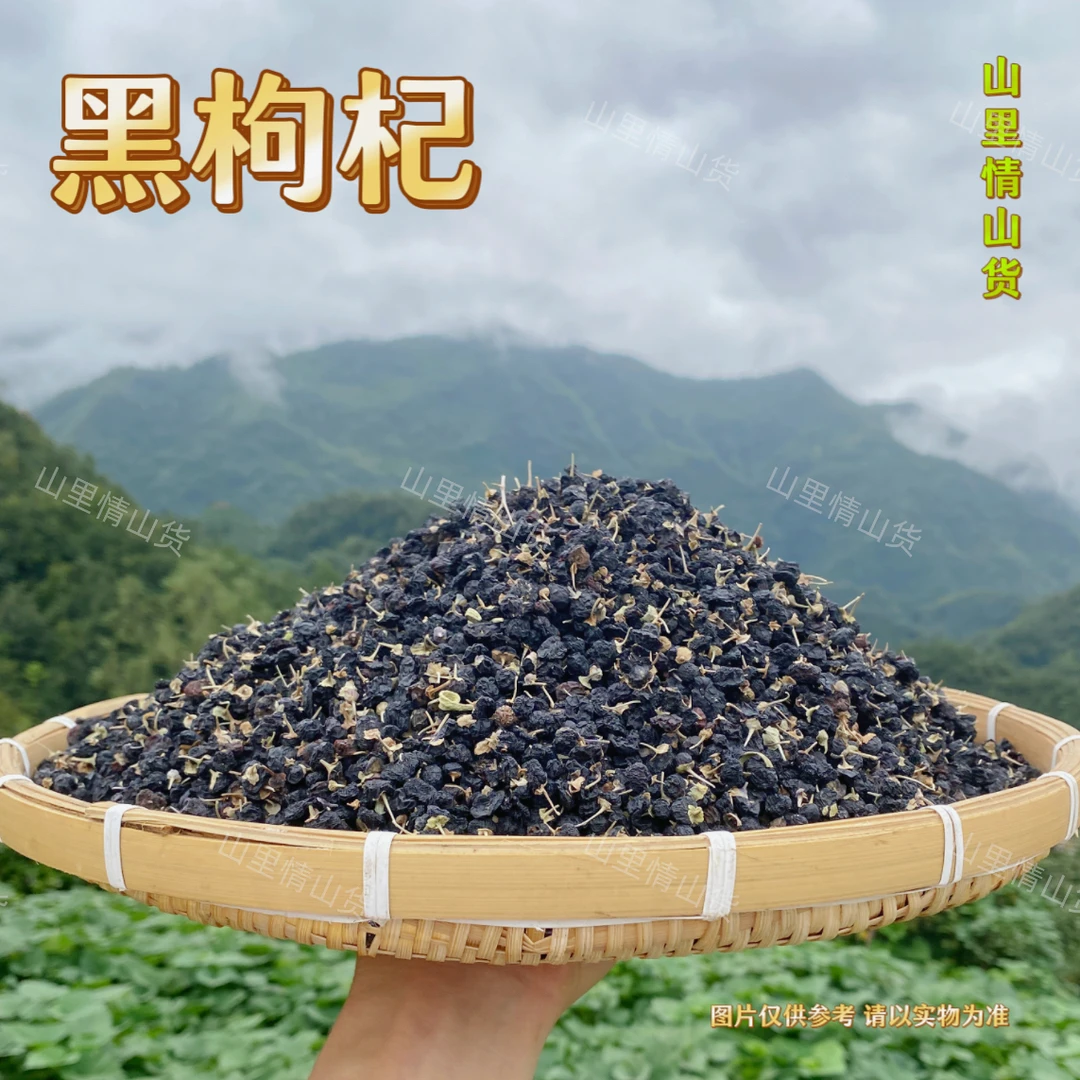 太阳姐姐 - 黑枸杞
