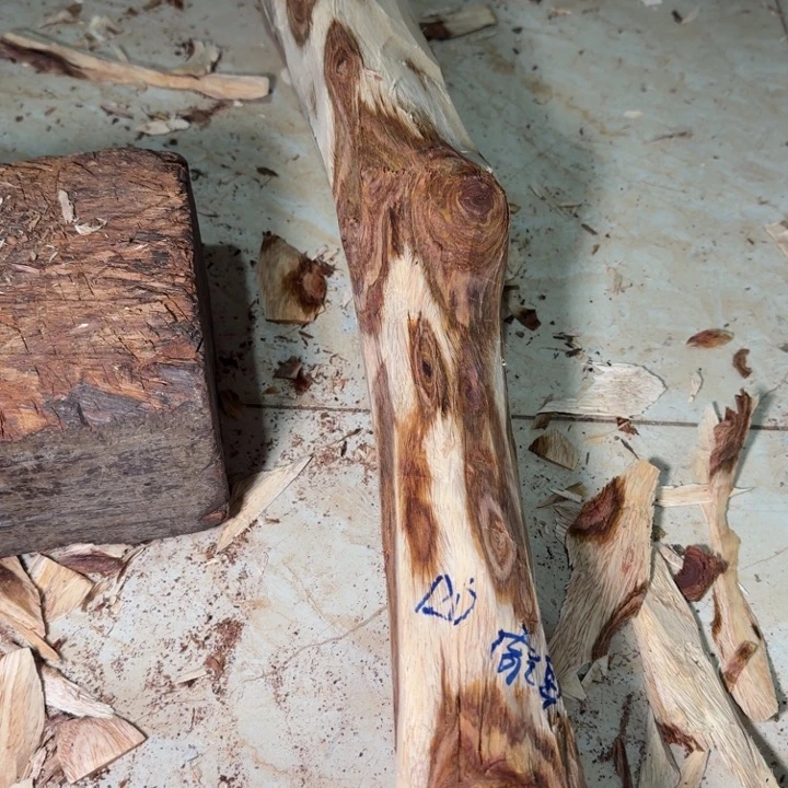 風***盤木还没想到个性的海南