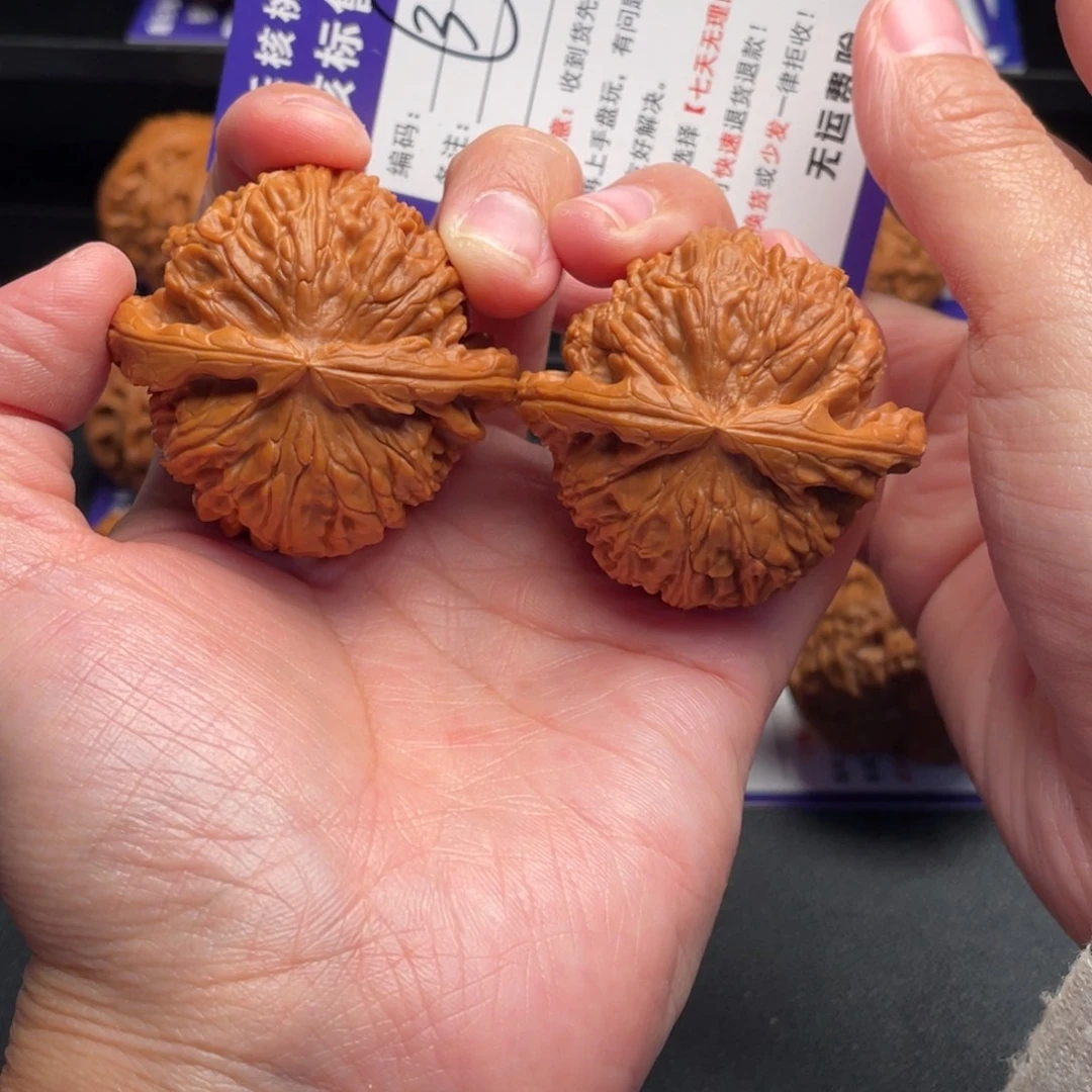 文玩核桃把件白狮子46