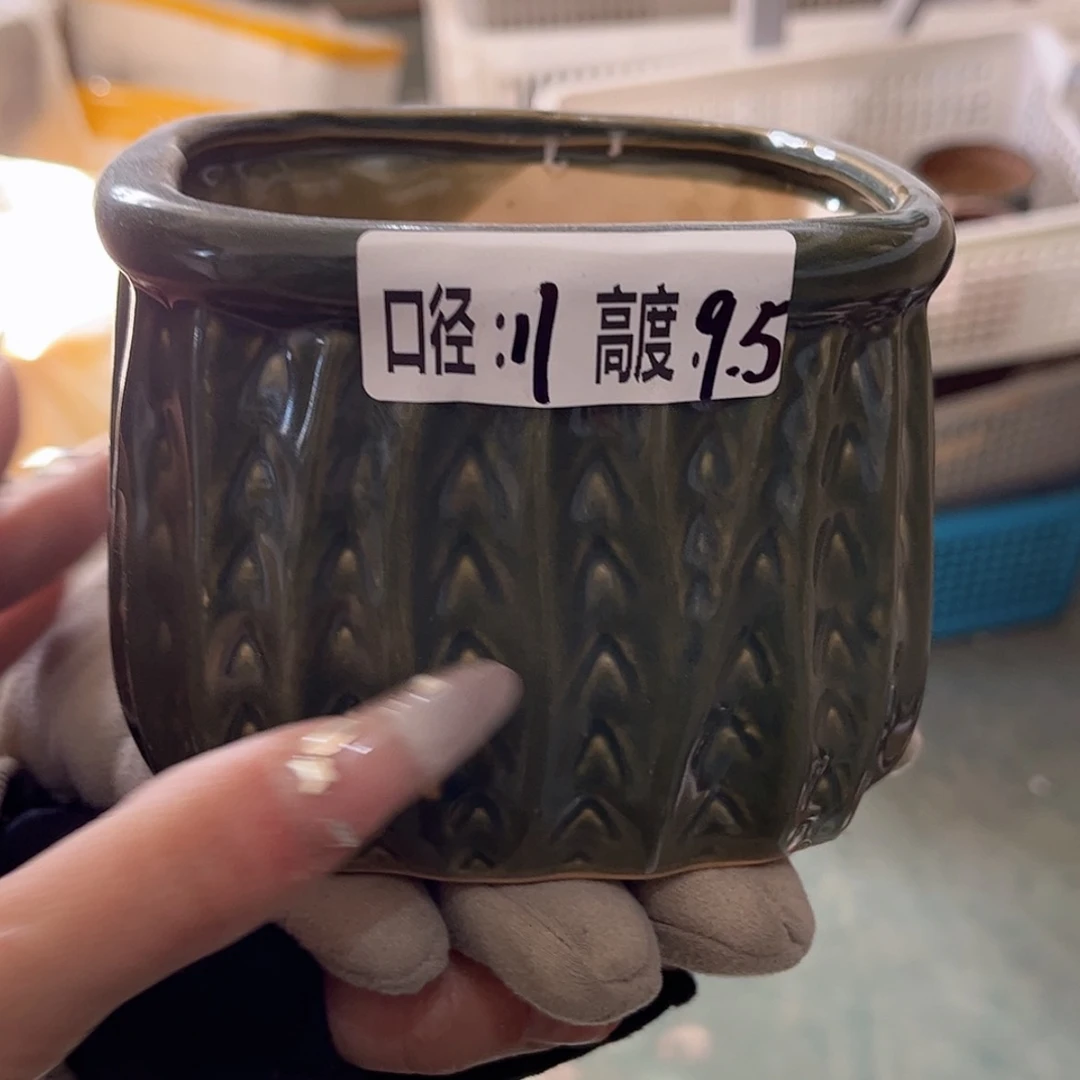 【闪购商品】红陶福利