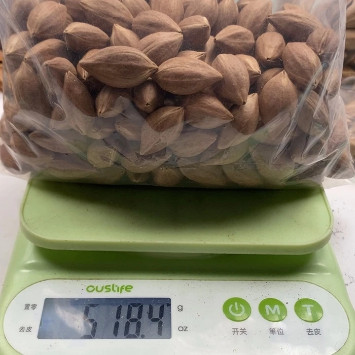 不***点橄榄核手串/手链橄榄核雕
