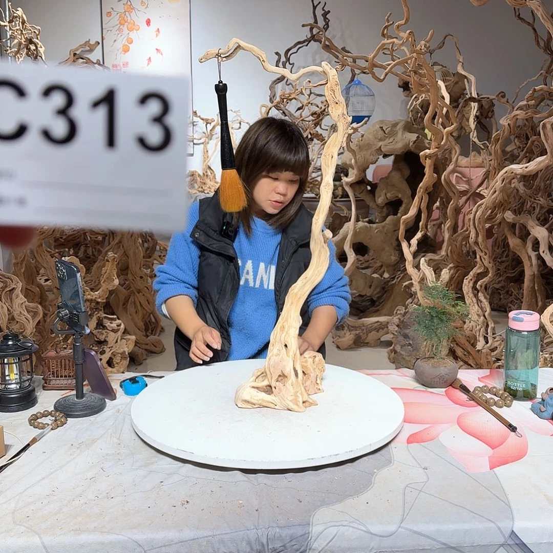 风车木（黑檀木）探***香