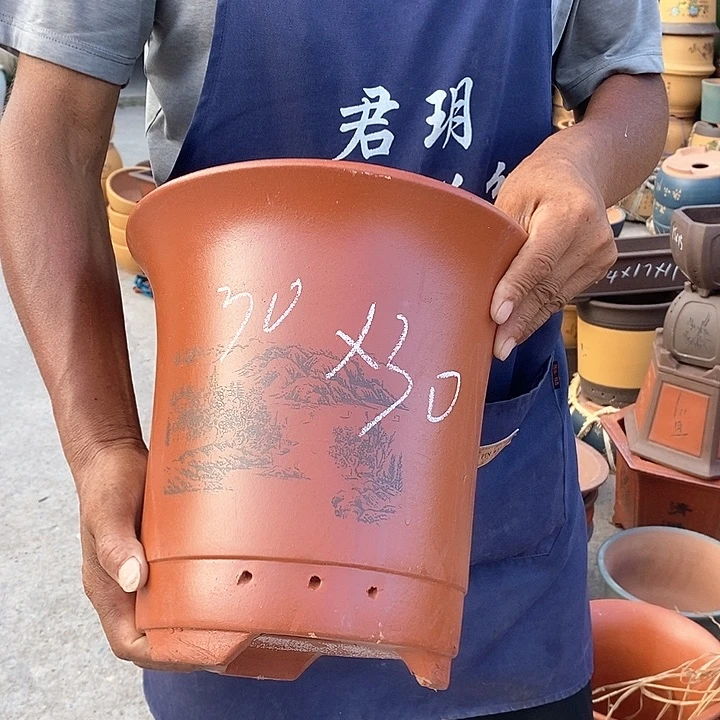 紫砂花盆紫砂花盆盆栽植物花卉苗木种植