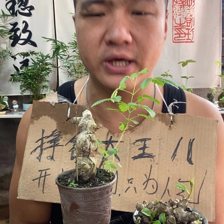 无花朵退款拉黑拉黑6