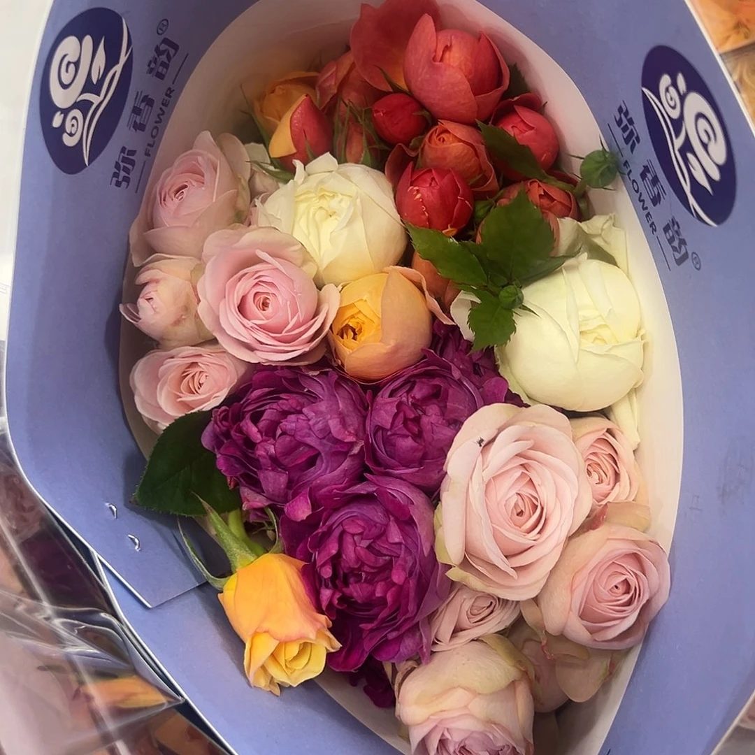 弥香韵混多 10支装 拍满三单包邮