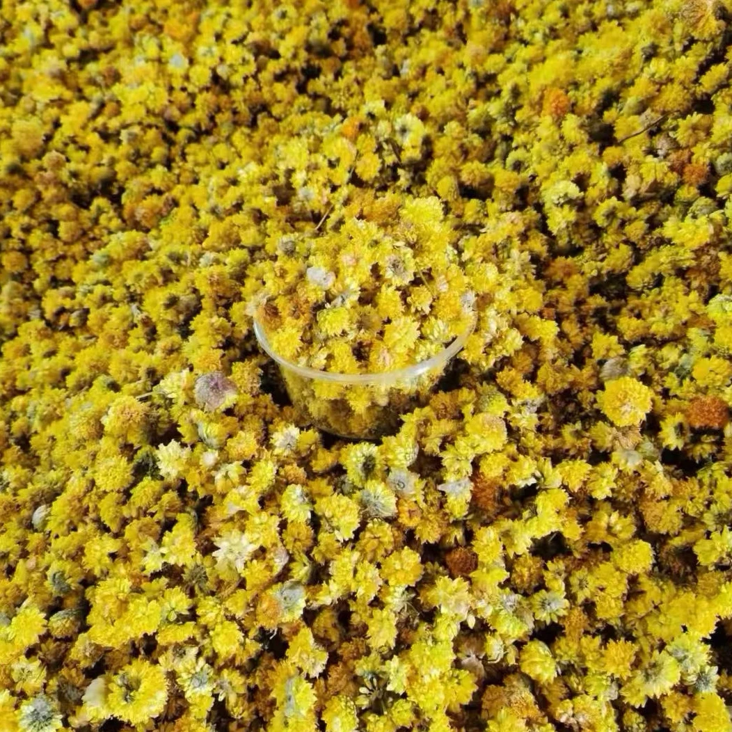 甘肃特产野生黄葱花浆水面调味料甘南草原特产