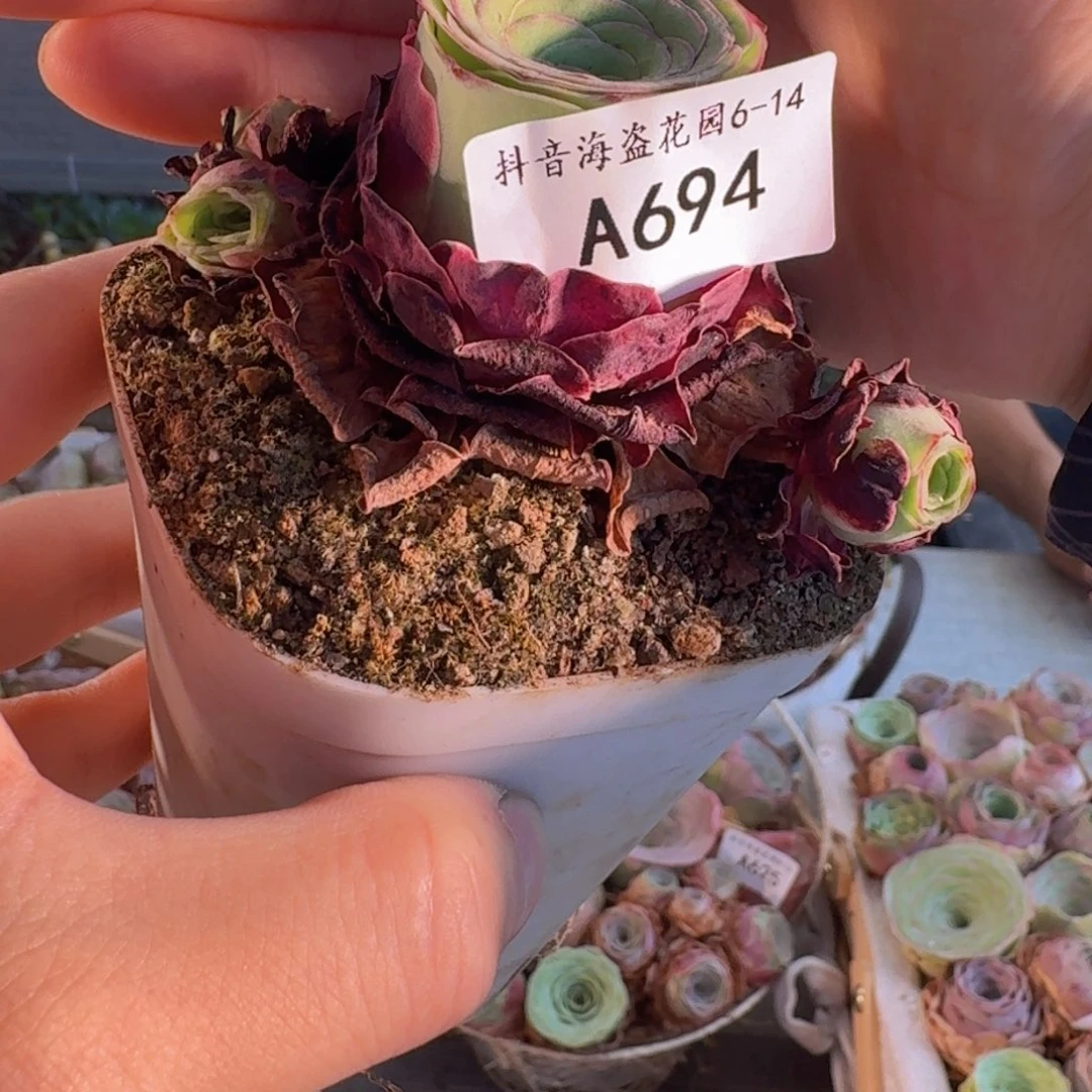 人***初A694 福袋链接福袋