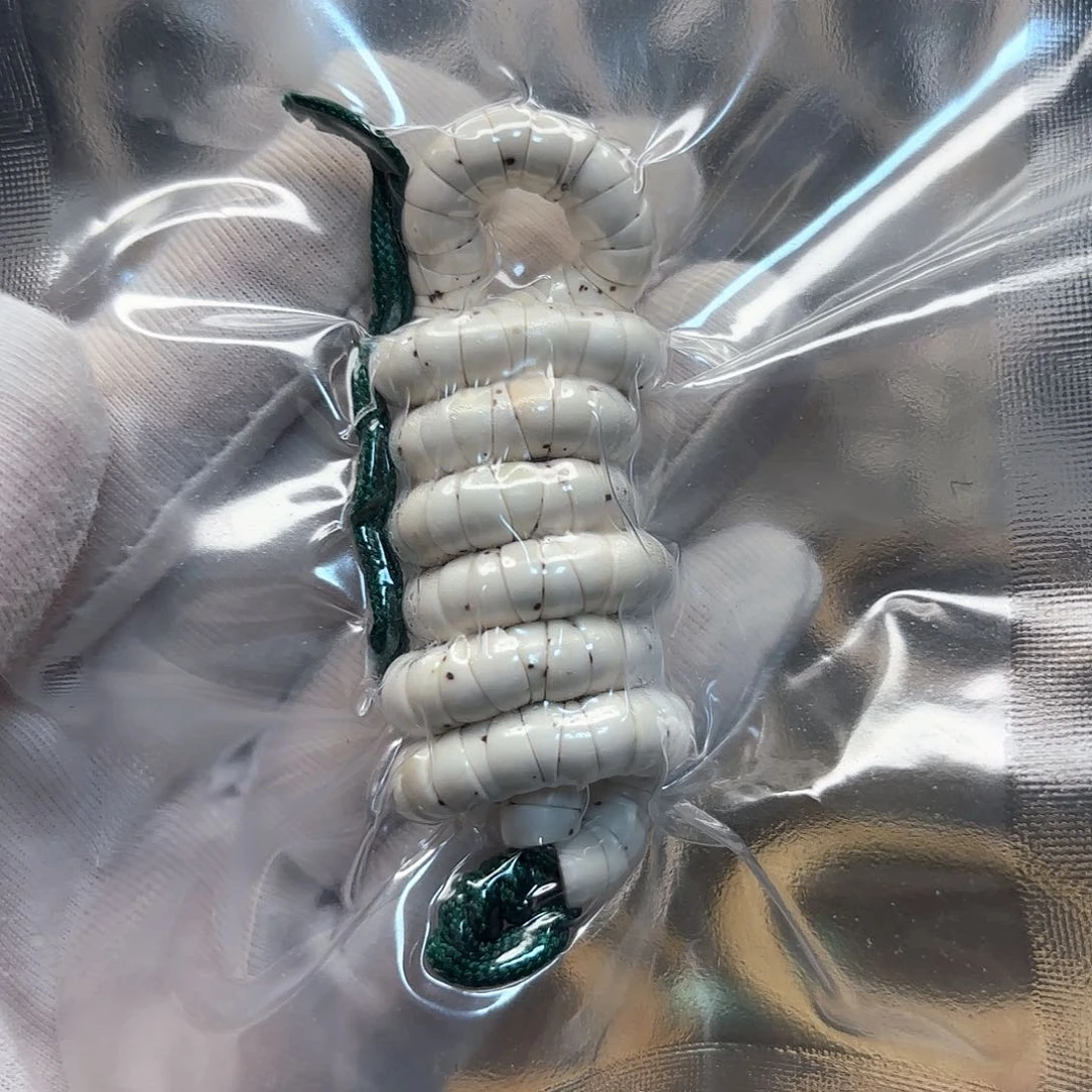 星月菩提吊坠高品质白大肠卡6数星