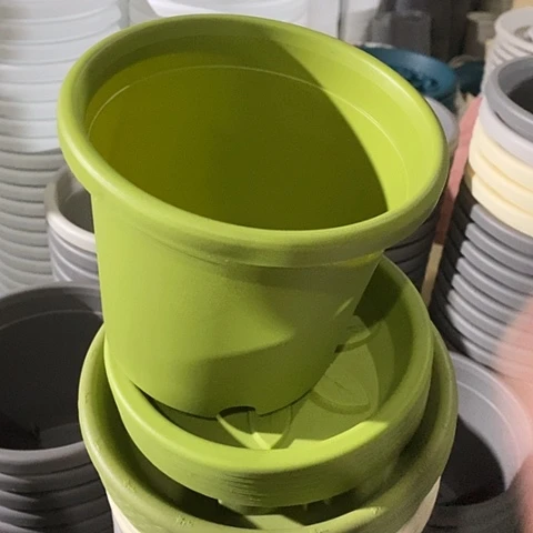 树脂四季1号果绿无托10个