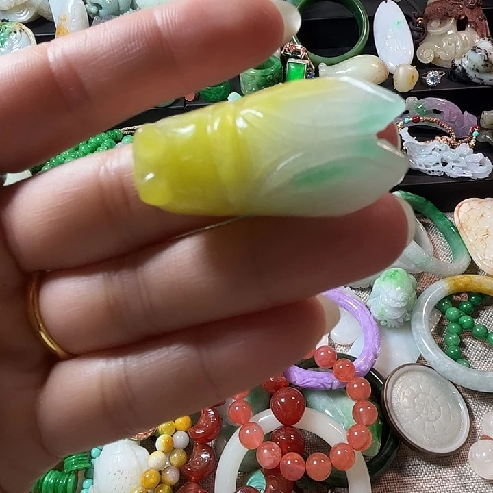 翡翠未镶嵌颈饰翡翠未镶嵌颈饰品