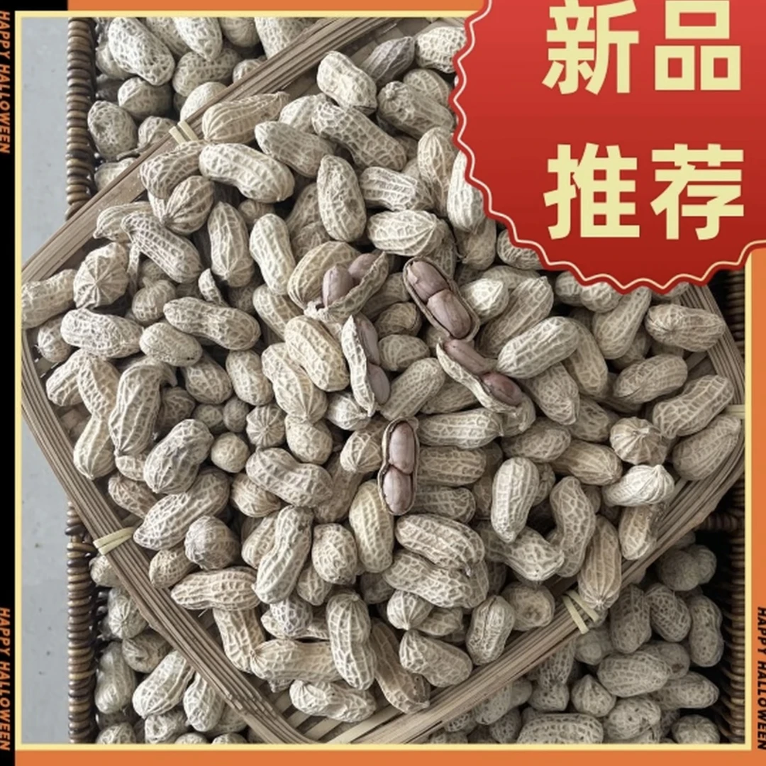 溢泓源（25年新果白肉咸干）咸干水煮花生坚果追剧零食美味客家特产