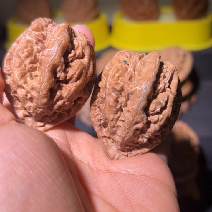 文玩核桃吊坠核桃77W