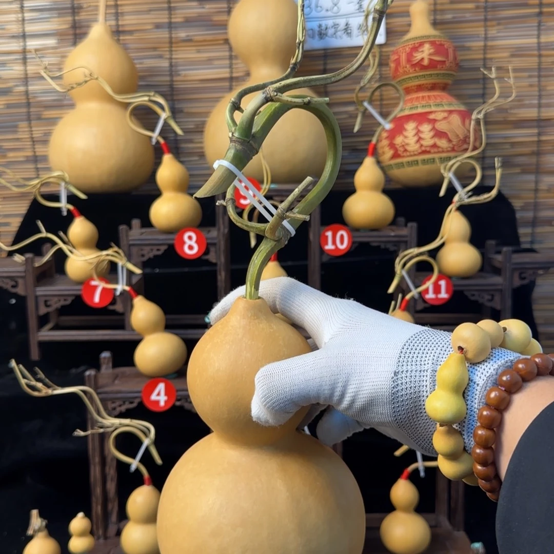王****啊啊啊啊啊啊啊啊啊啊啊啊