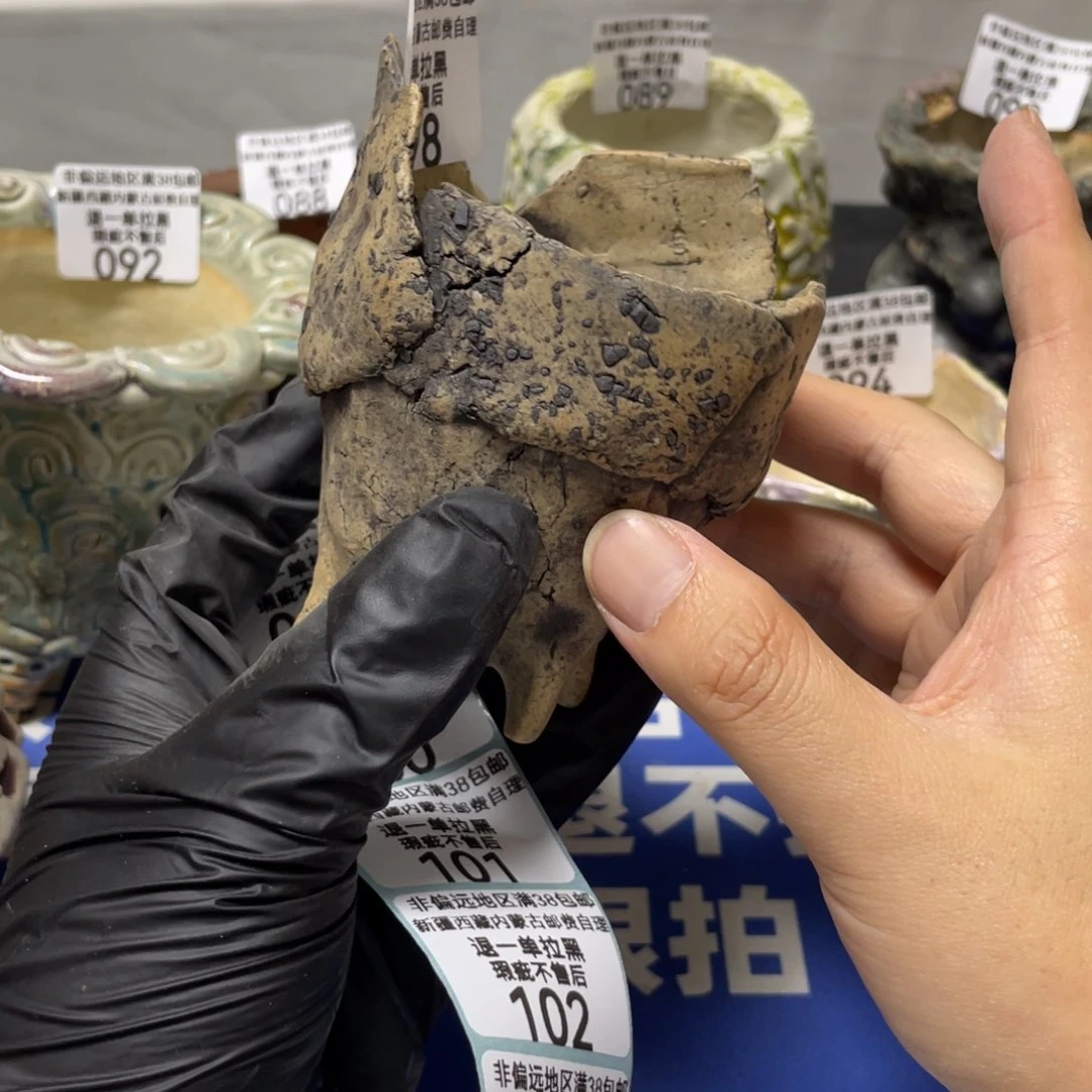 特价微瑕疵不退不换98