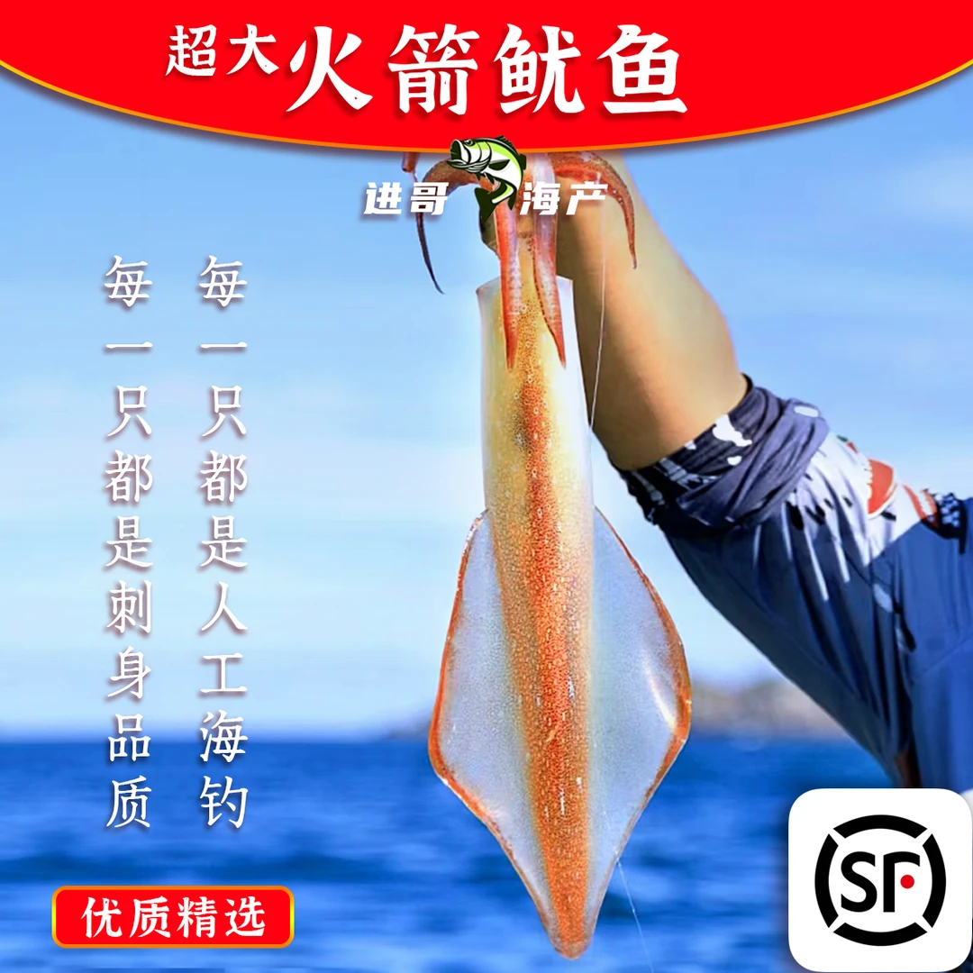 【超大】火箭鱿鱼100%好评鱿鱼 刺身品质脆鲜甜 顺丰冷链保鲜发货
