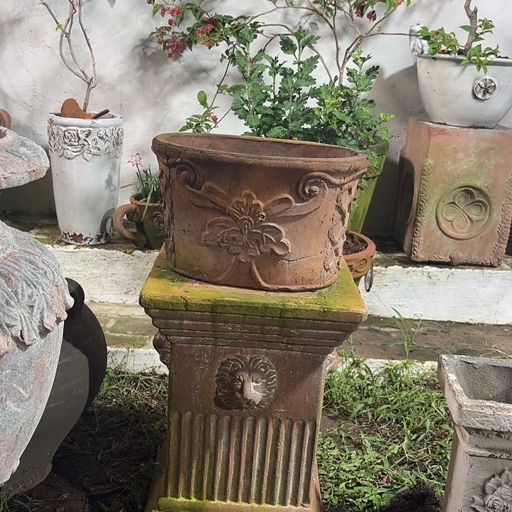 许纯的花房椭圆花盆红陶色全新