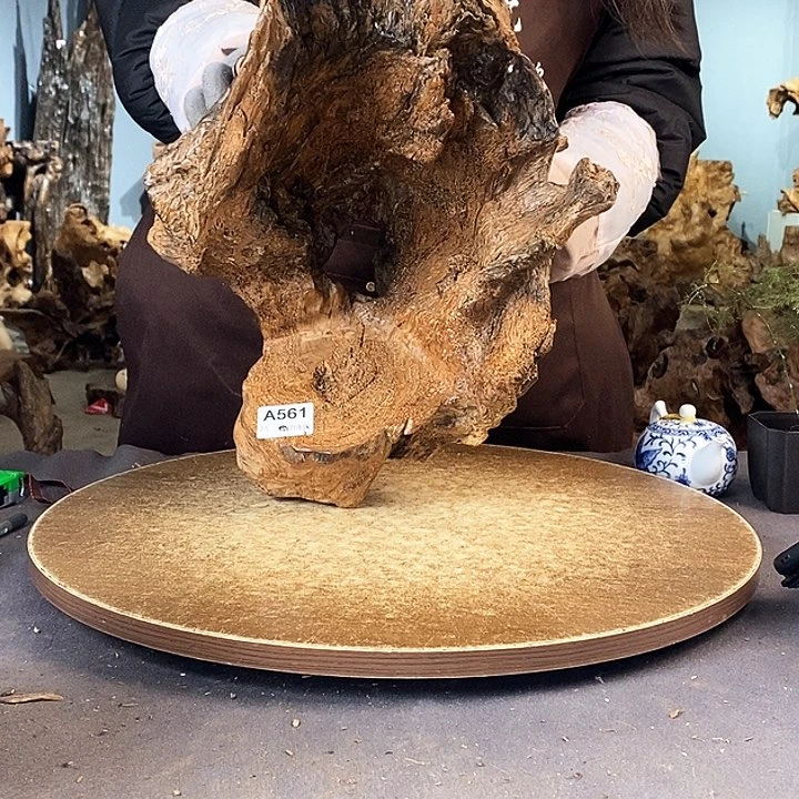 茶盏北****旗561株木的随行的根艺