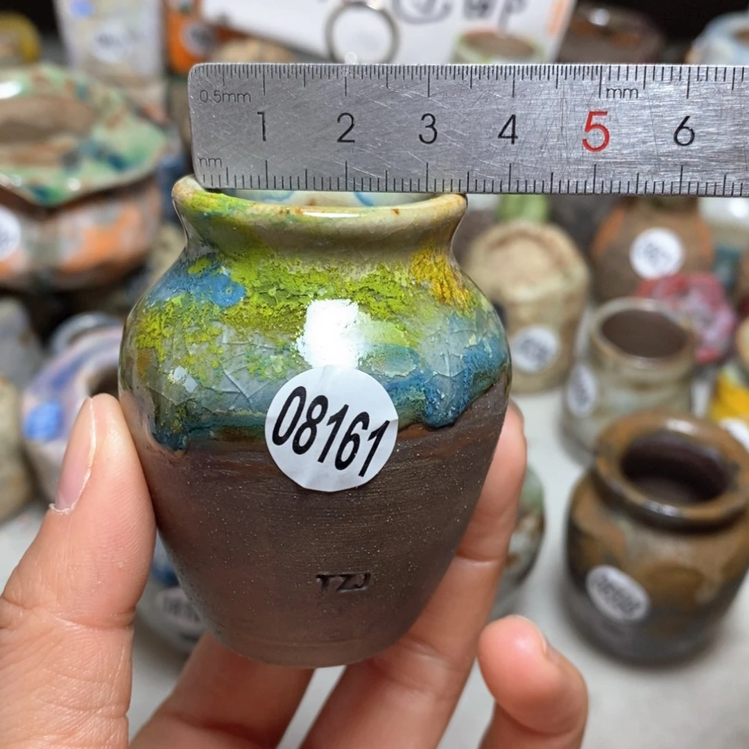 花盆拍5送一个小礼物