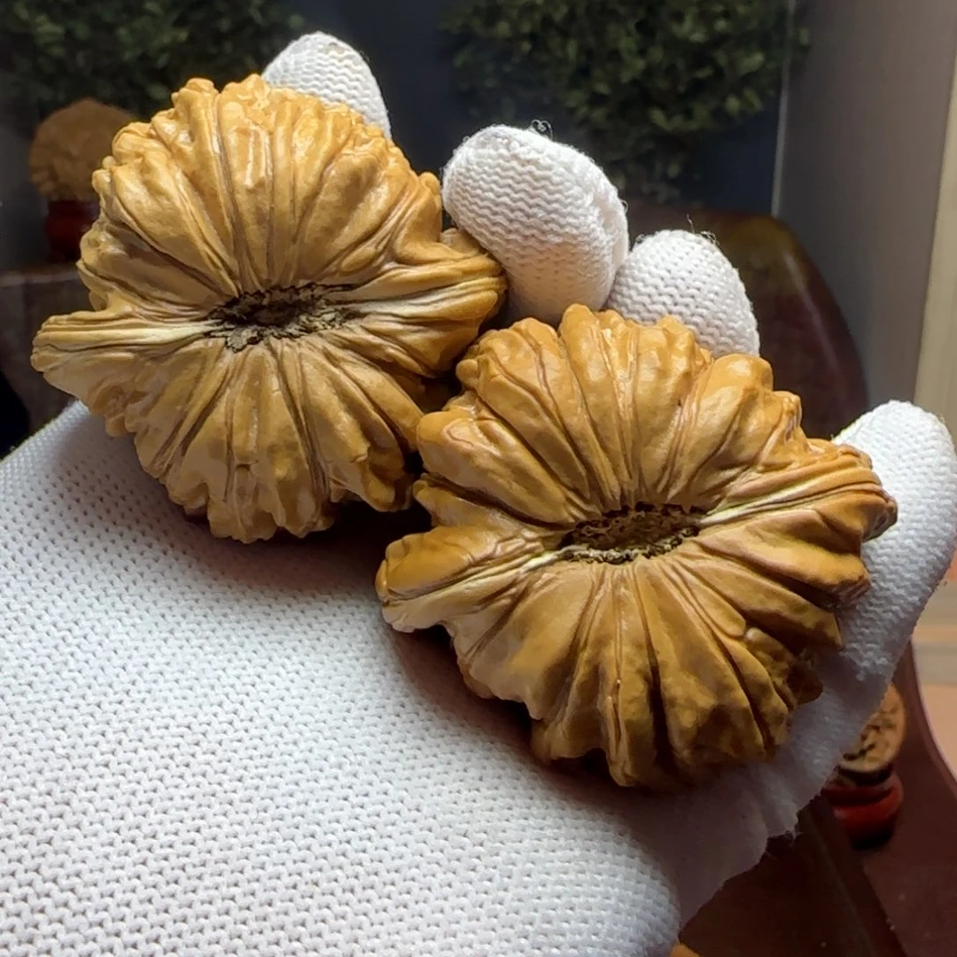 -***鲁文玩核桃把件华坤龙