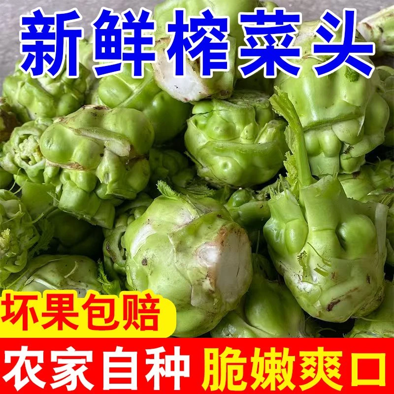 四川新鲜榨菜头农家现砍涪陵青菜头菱角菜芥菜羊角菜儿菜时令蔬菜