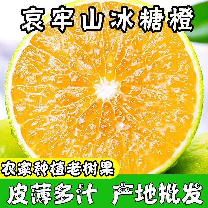 【邮政包邮】云南哀牢山青皮冰糖橙应季新鲜水果清甜多汁皮薄肉厚
