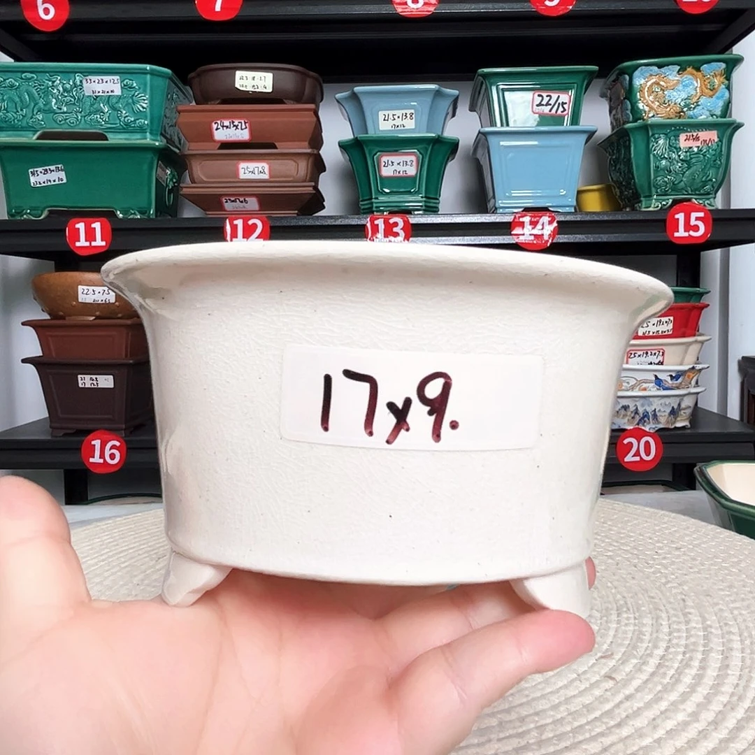 本以为是三分热度，却是十分喜欢