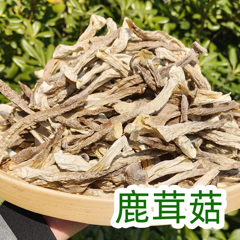 新货上市高山鹿茸菇干货农家特产无硫无干燥剂煲汤食材