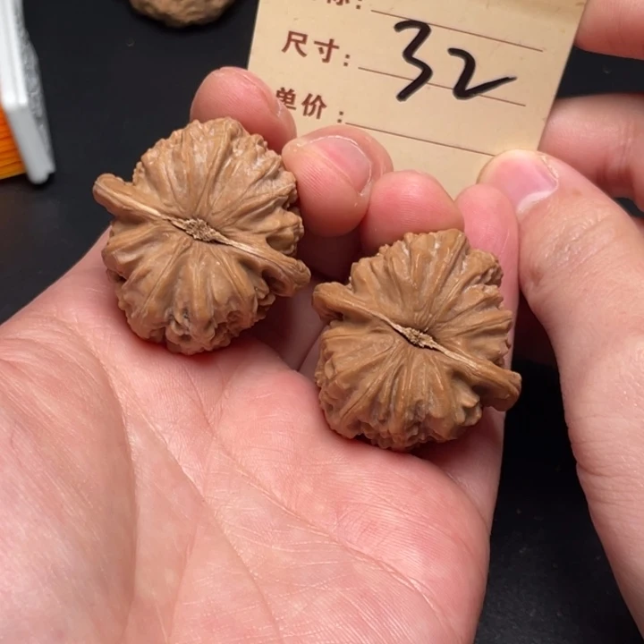 文玩核桃把件白狮子36尺全品白茬32