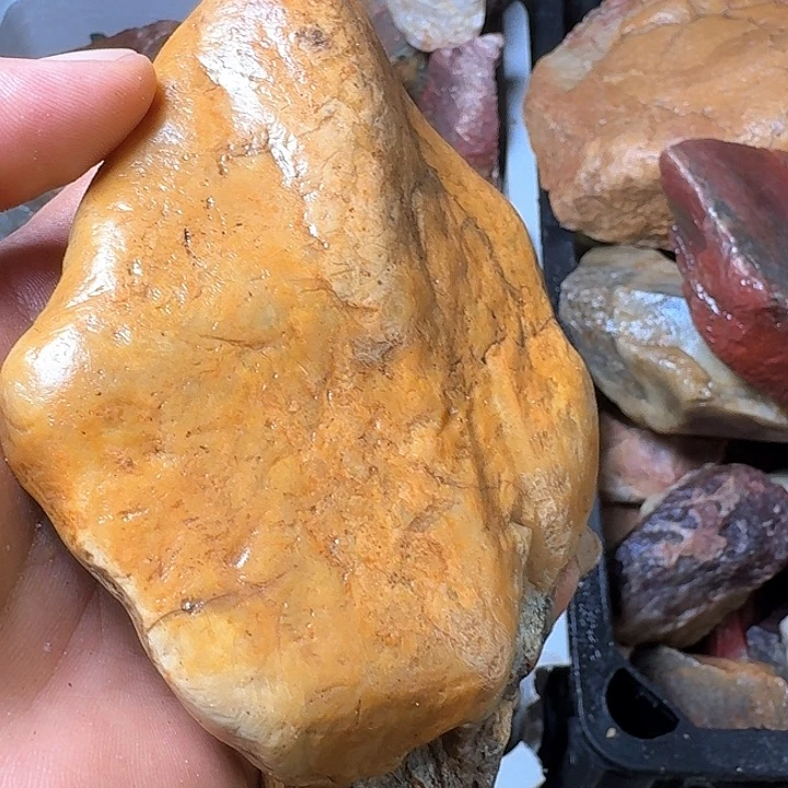 尼***哥寿山石寿山石的种类