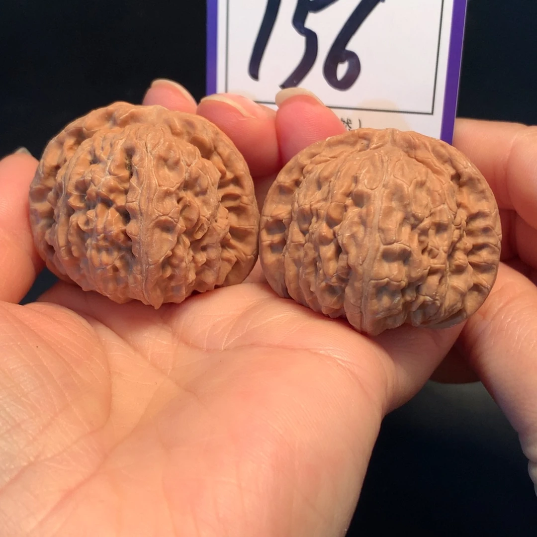 把件文玩核桃156白狮子4.3