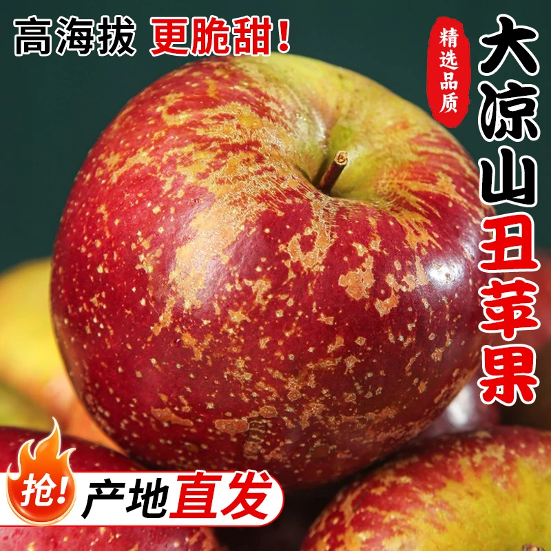 四川大凉山冰糖心丑苹果脆甜多汁爆汁酸甜可口新鲜水果产地现摘