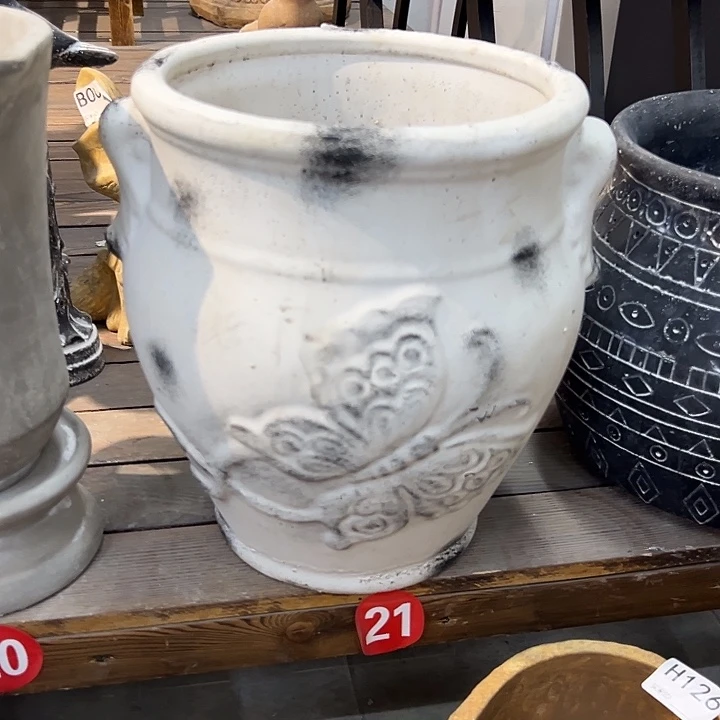 高31宽28口21阿健健康康咯