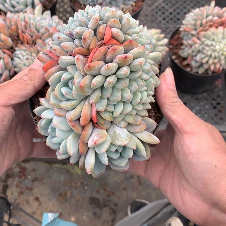 122146缀嗯嗯嗯嗯嗯嗯好喜欢