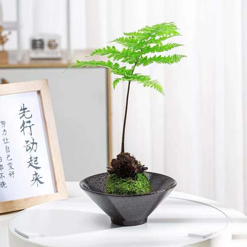 水培圆形无孔复古盆器