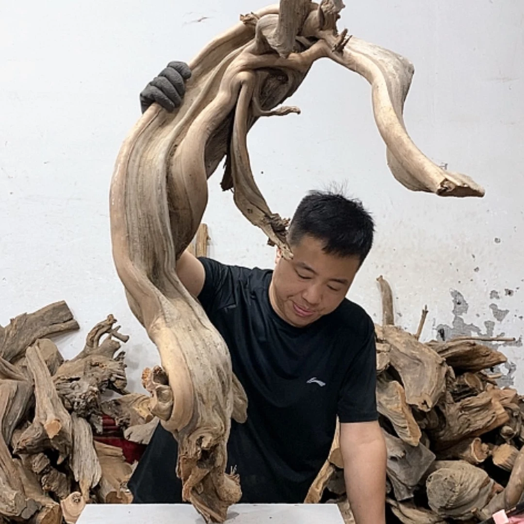 【闪购商品】柏木江***U我们都是好孩子