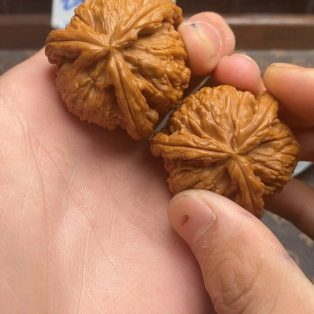 S****味白狮子1111111111111