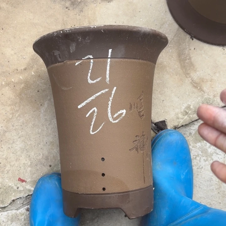 花盆紫砂紫砂的颜色