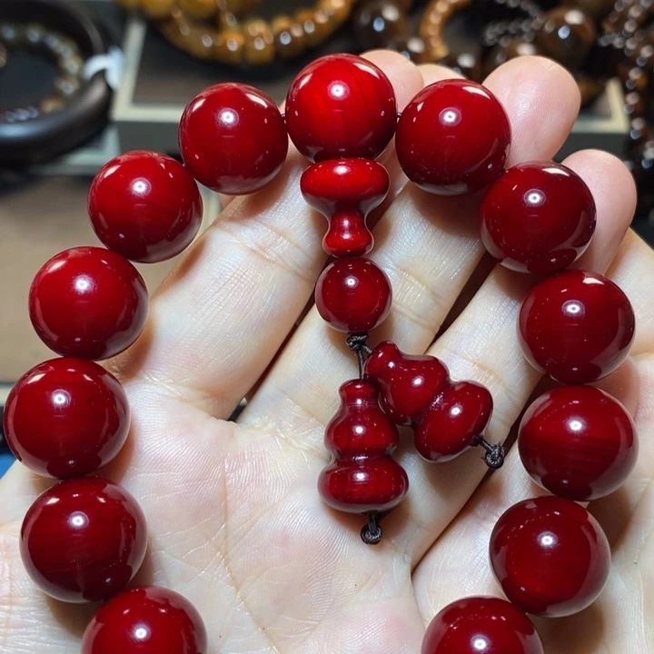 贝壳杉贝壳杉单圈手链精品