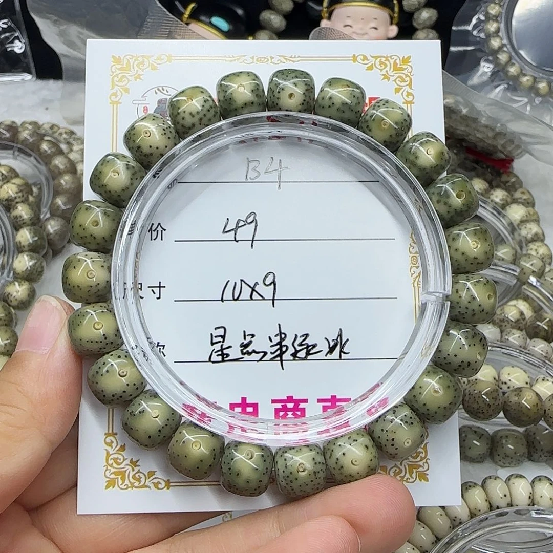 一***船心月星月菩提一号B4