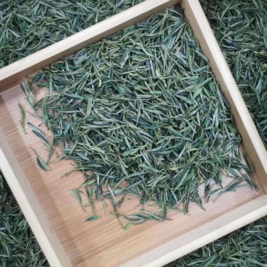 2025新茶板栗香浓香耐泡大化坪霍山黄芽袋装浓香型茶叶500g