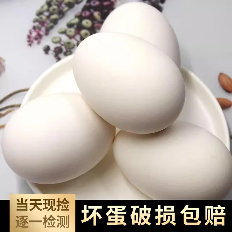 【破损包赔】现捡现发新鲜散养鹅蛋农村生态散养适合孕妇孩子