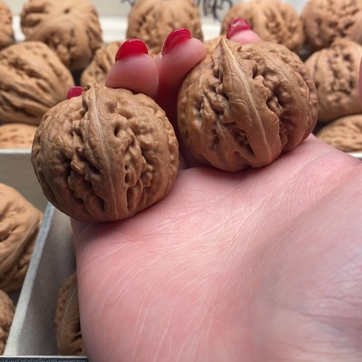 小***哥霸王龙全品无修一刀没动