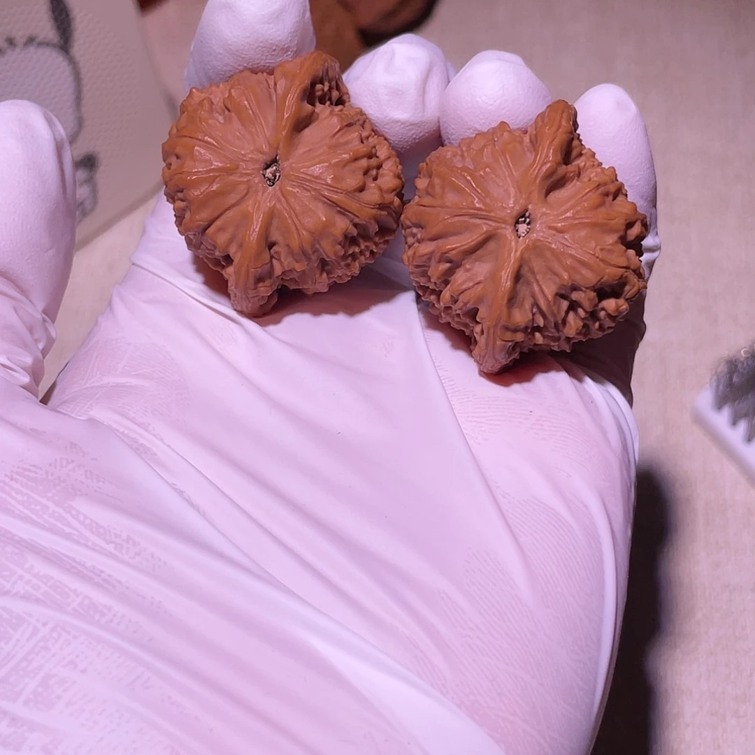 【闪购商品】35七步沟公子帽