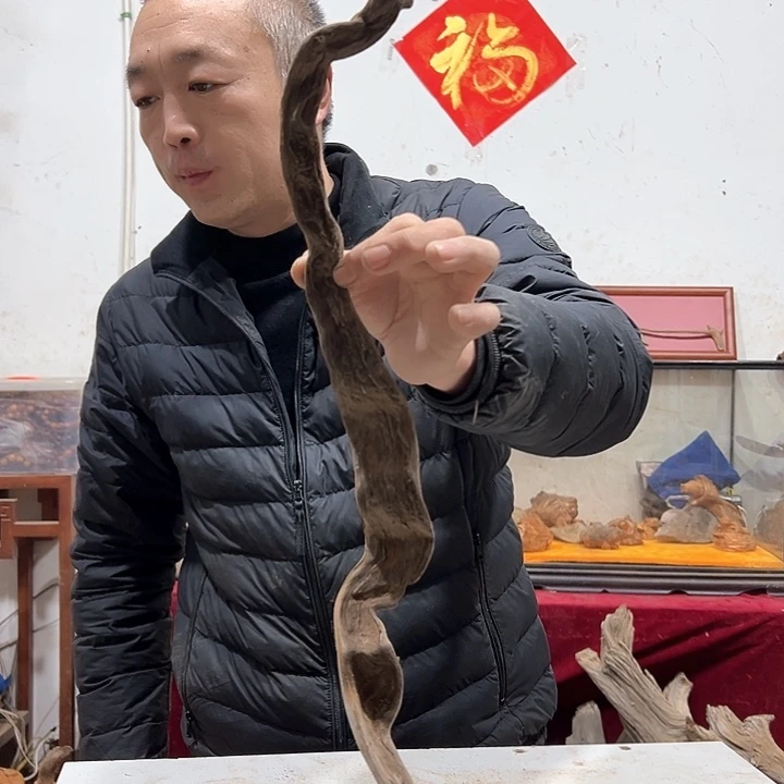 柏木道****5我们的生活是一