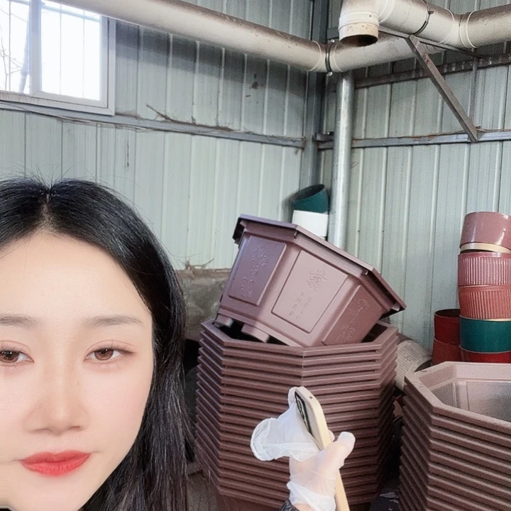 八角80花盆2个有孔