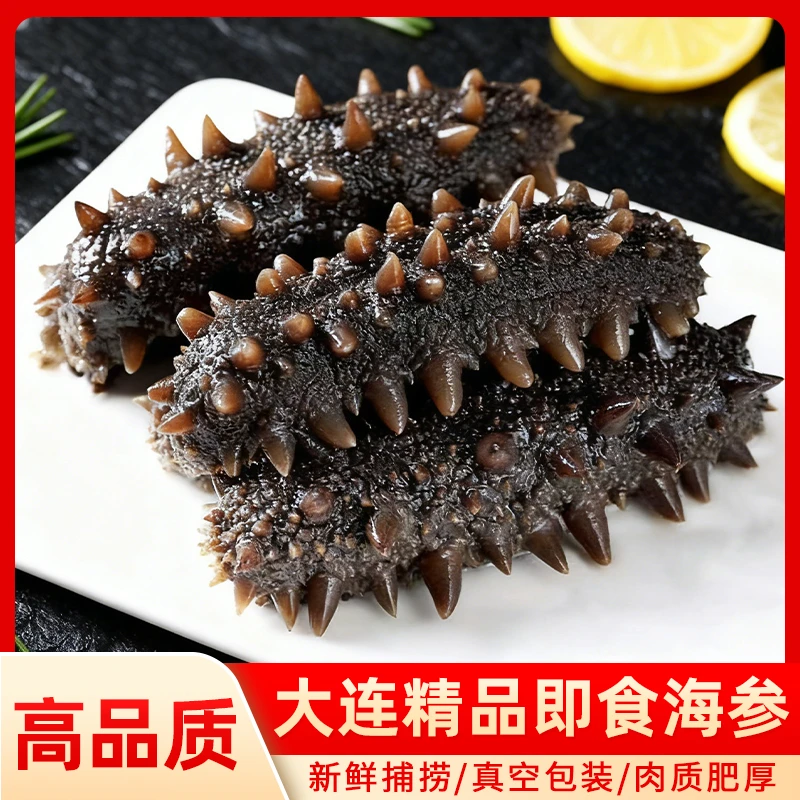 正宗大连即食海参进补辽刺参真空包装营养美味鲜蒸海参鲜食海参