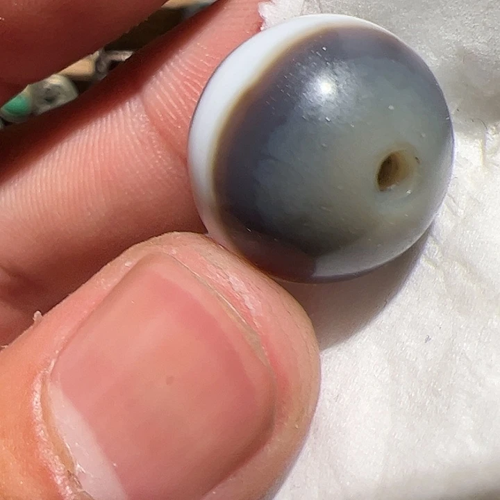 香榧木你的时候我也