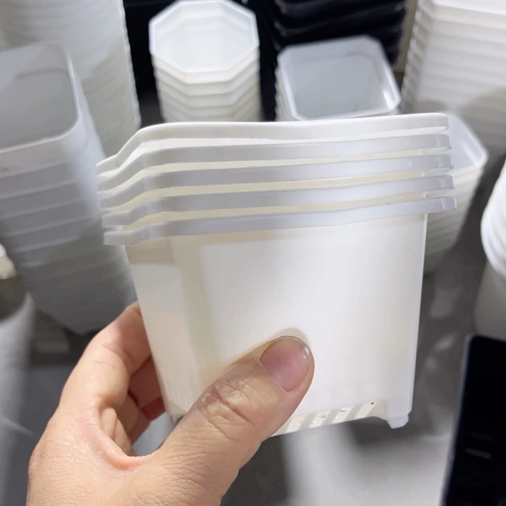 白方口9高7一组25